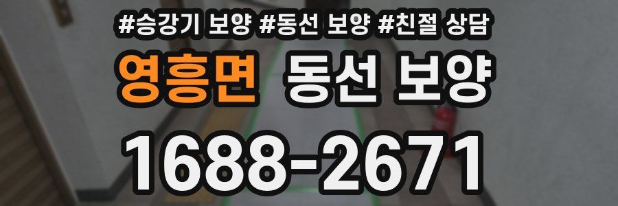 영흥면 동선 보양