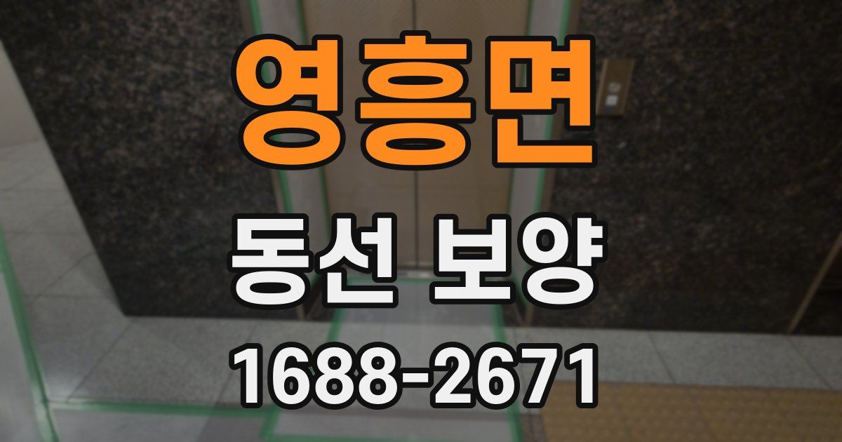 영흥면 동선 보양