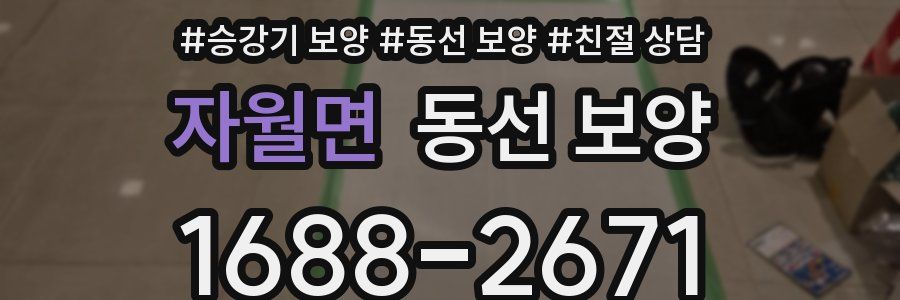 자월면 동선 보양