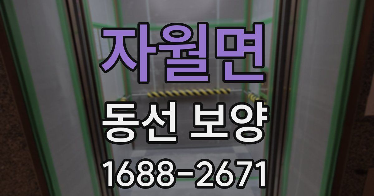 자월면 동선 보양