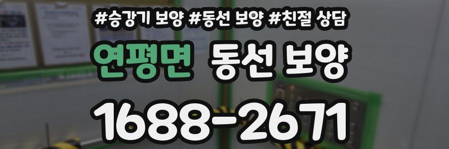 연평면 동선 보양