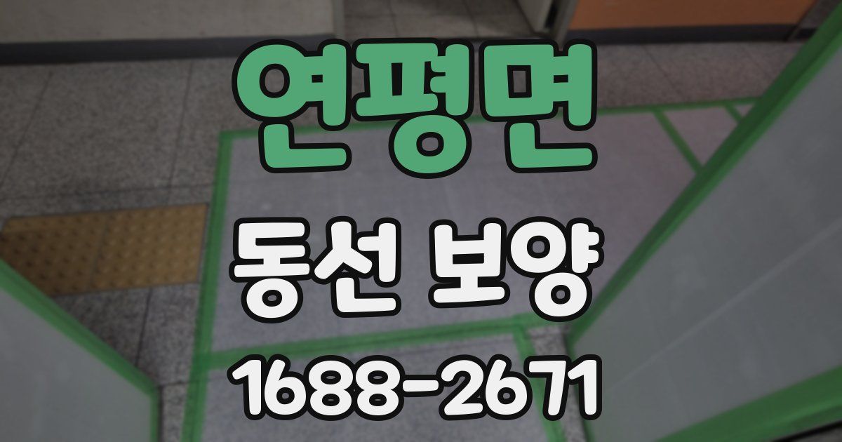 연평면 동선 보양