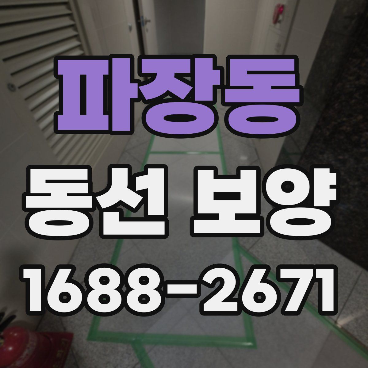 파장동 동선 보양