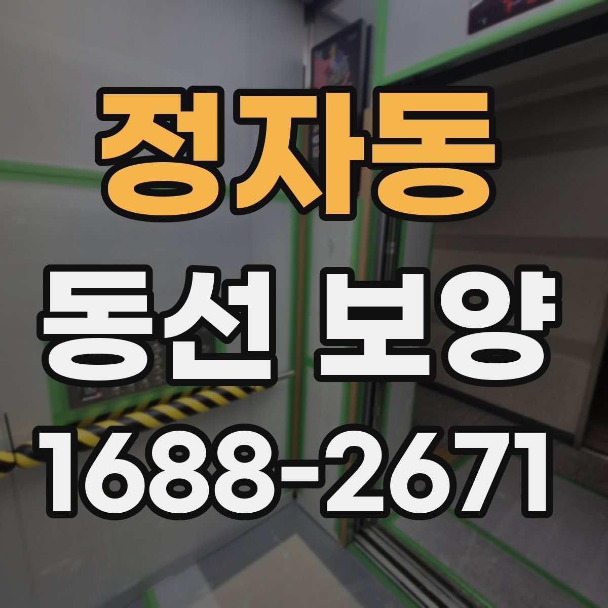 정자동 동선 보양