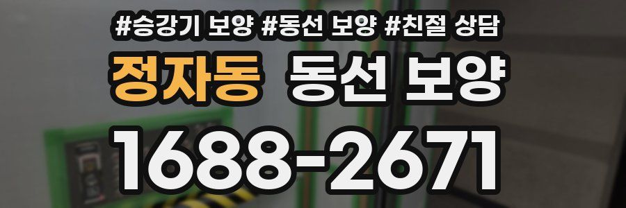정자동 동선 보양