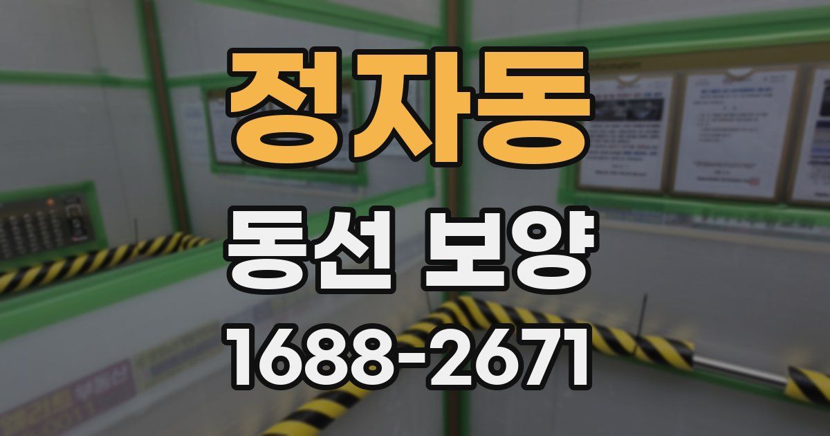 정자동 동선 보양
