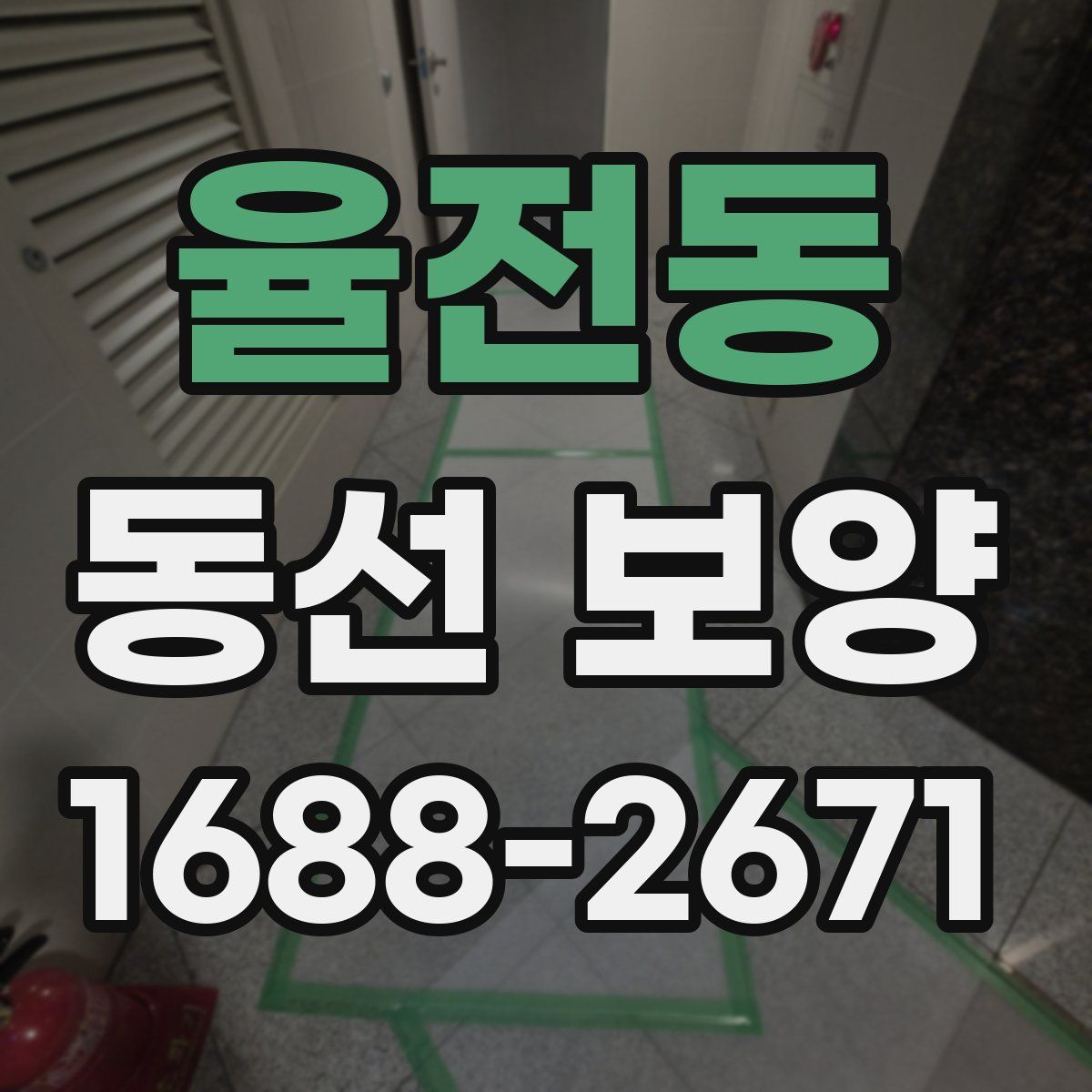 율전동 동선 보양