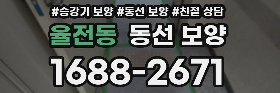 율전동 동선 보양