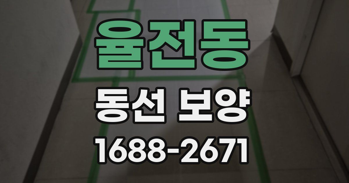 율전동 동선 보양