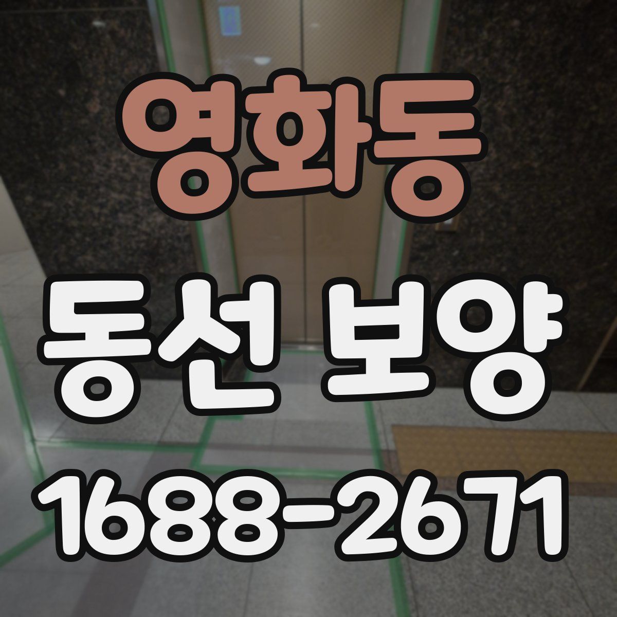 영화동 동선 보양