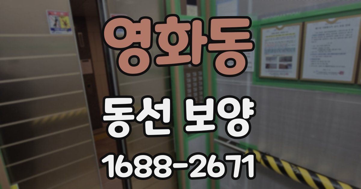 영화동 동선 보양