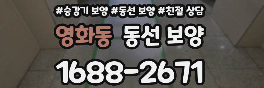 영화동 동선 보양