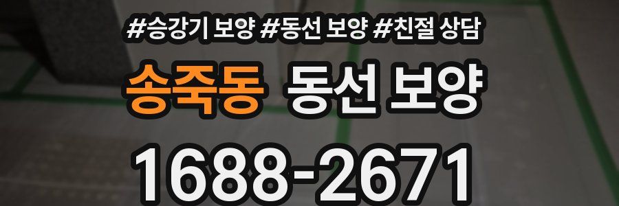 송죽동 동선 보양
