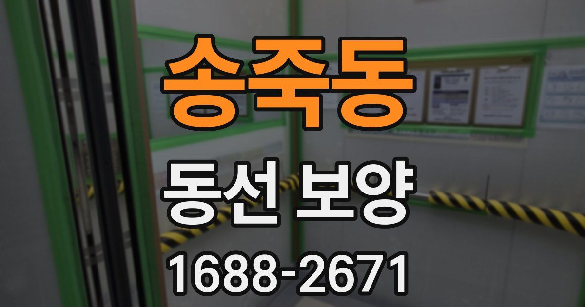 송죽동 동선 보양