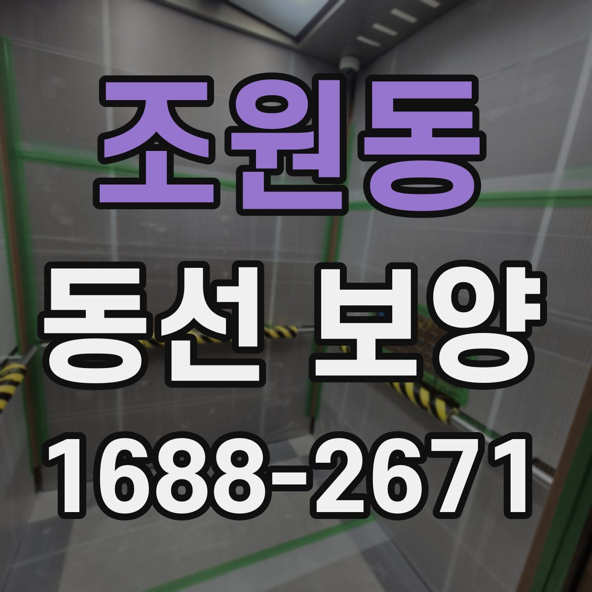 조원동 동선 보양