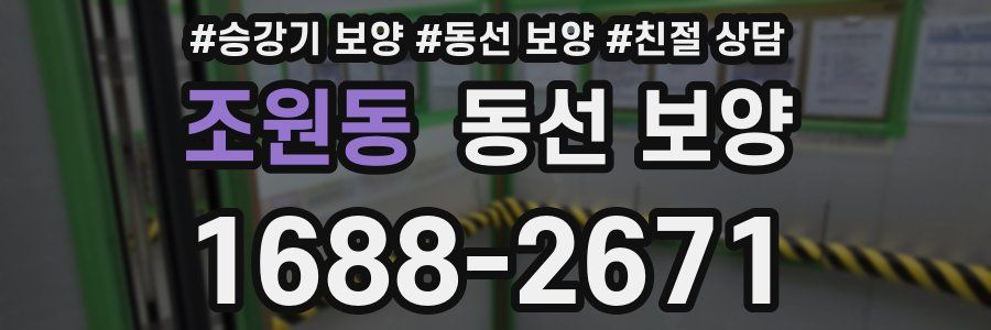 조원동 동선 보양