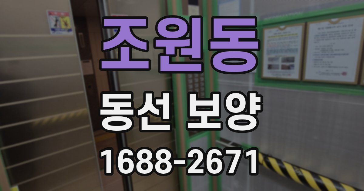 조원동 동선 보양