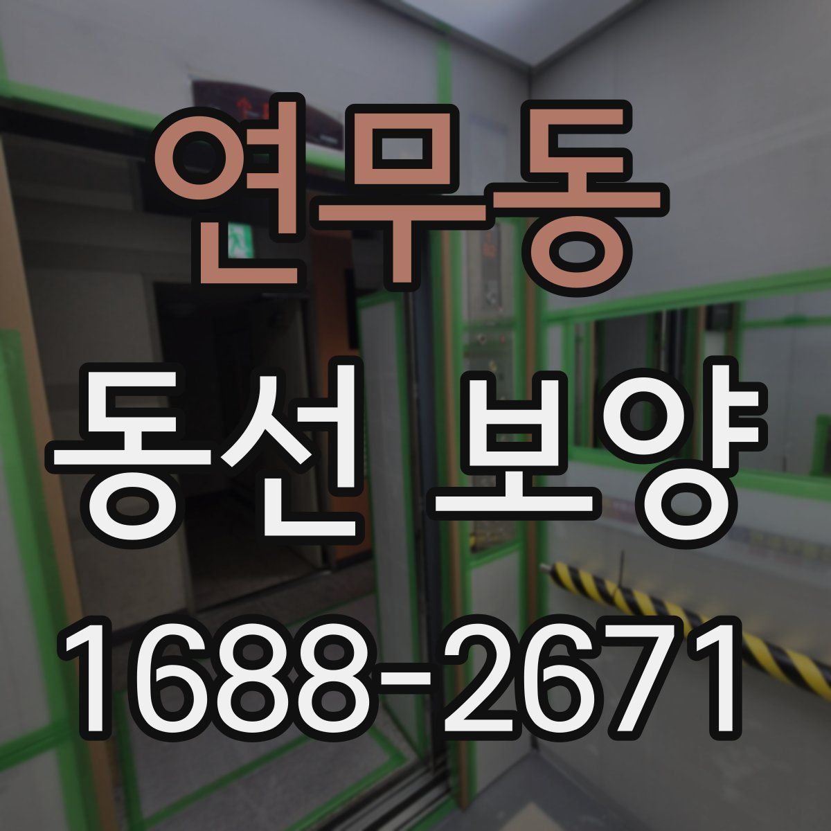 연무동 동선 보양