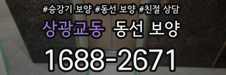 상광교동 동선 보양