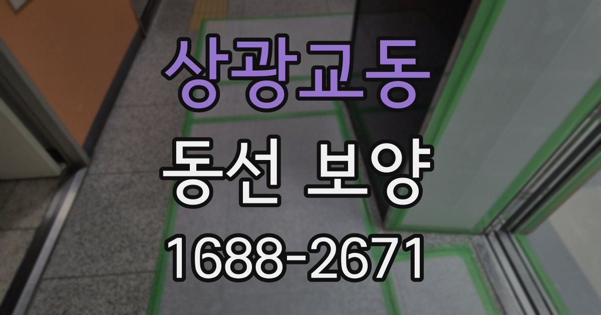 상광교동 동선 보양