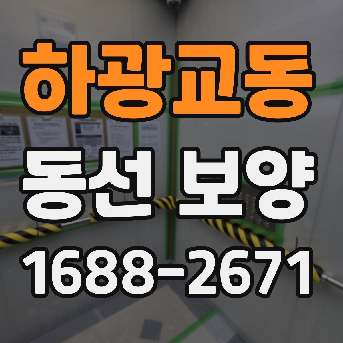 하광교동 동선 보양 전후 차이를 알기 쉽게 정리