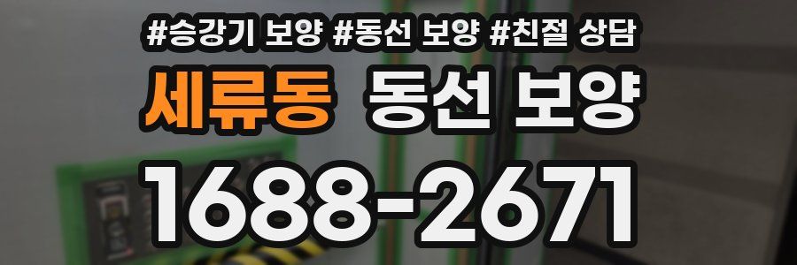 세류동 동선 보양