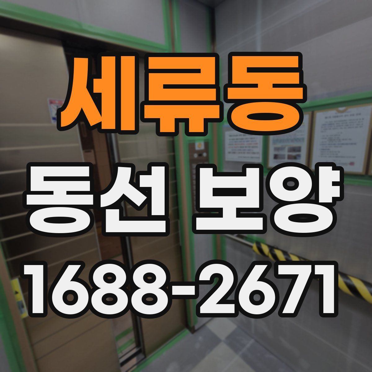세류동 동선 보양