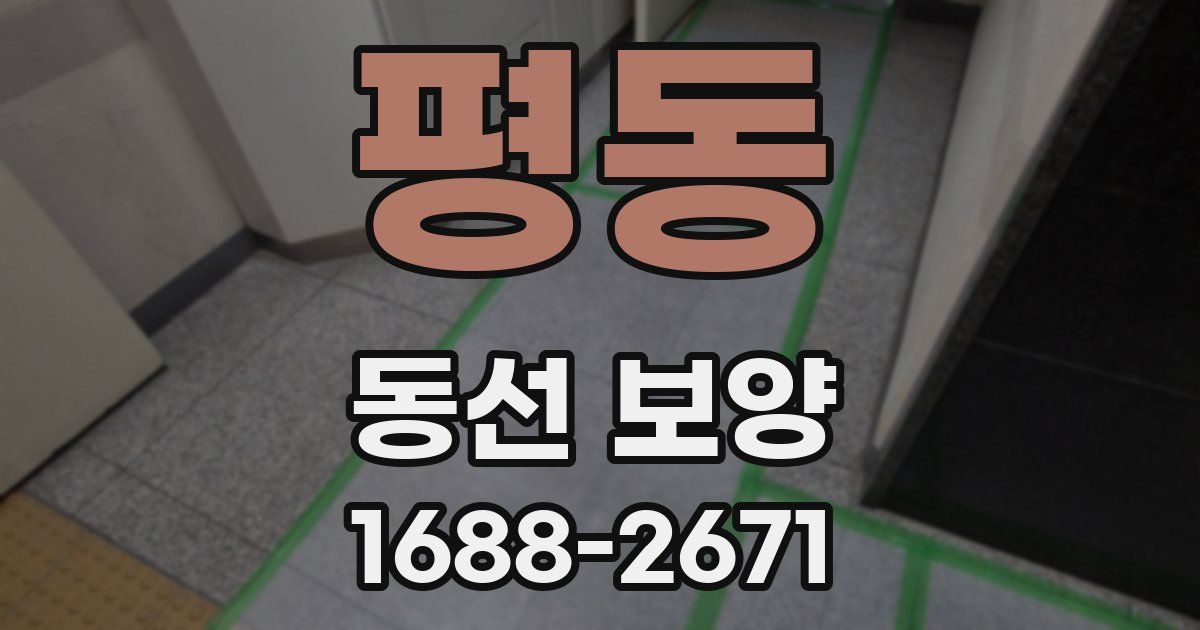 평동 동선 보양