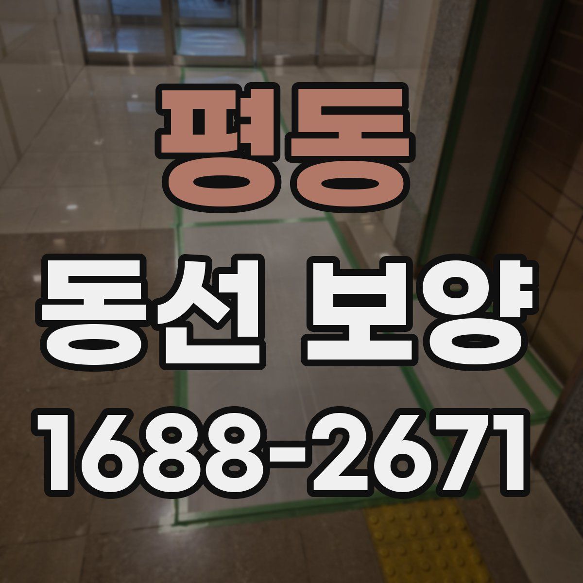 평동 동선 보양
