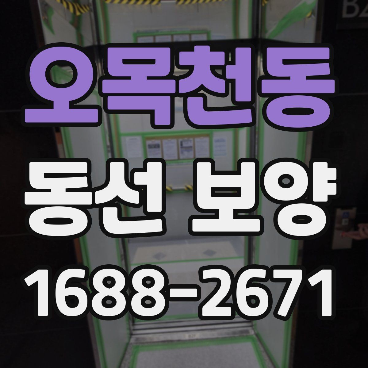 오목천동 동선 보양 작업 전 환경 정리와 준비 요령