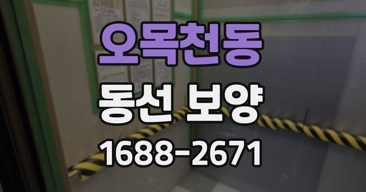 오목천동 동선 보양