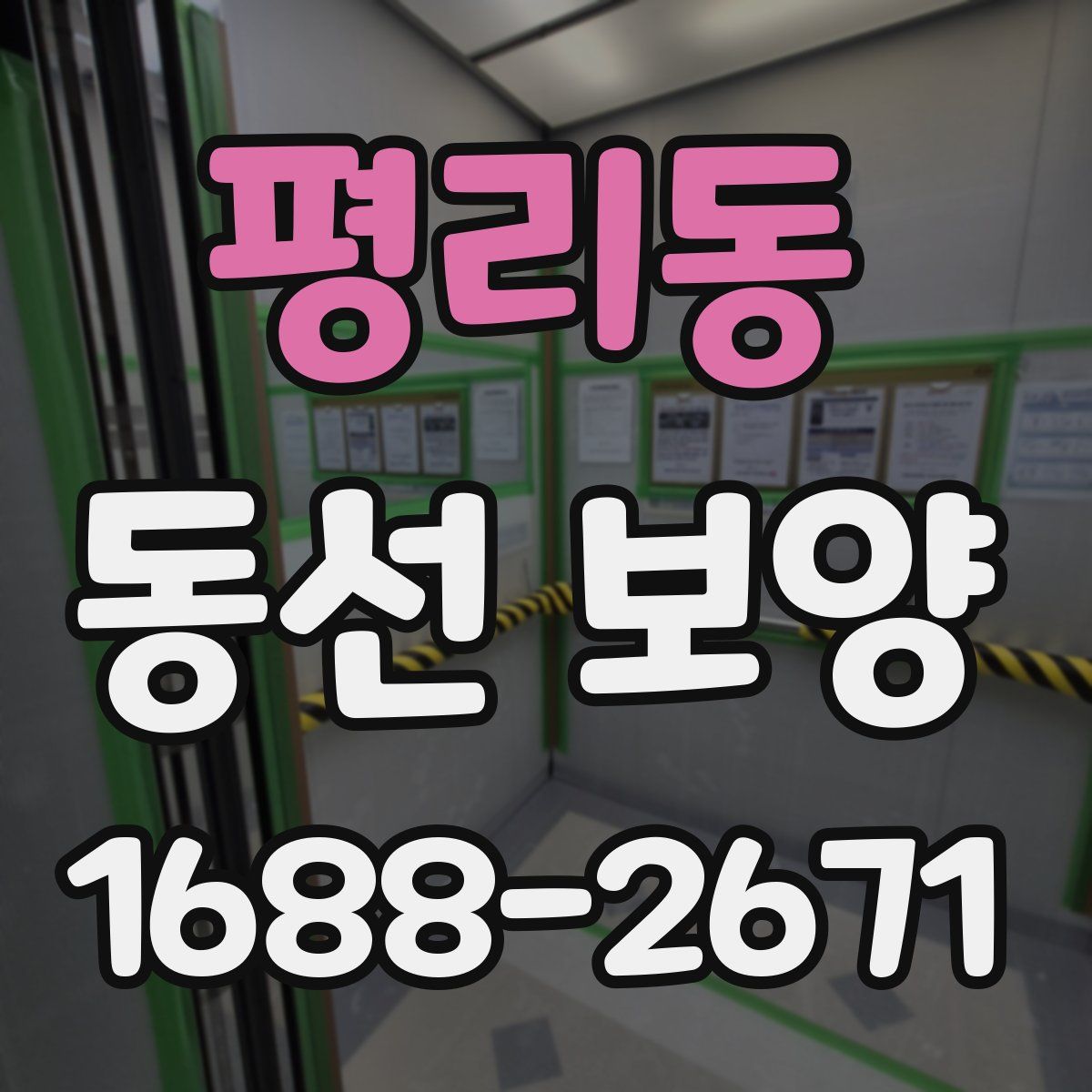 평리동 동선 보양