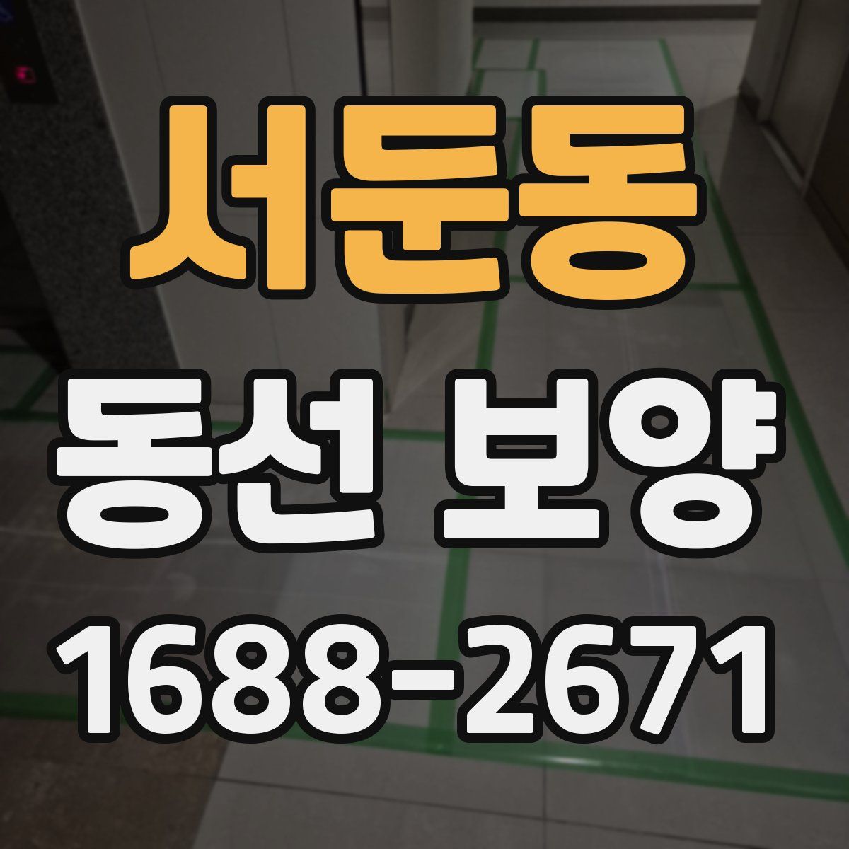 서둔동 동선 보양