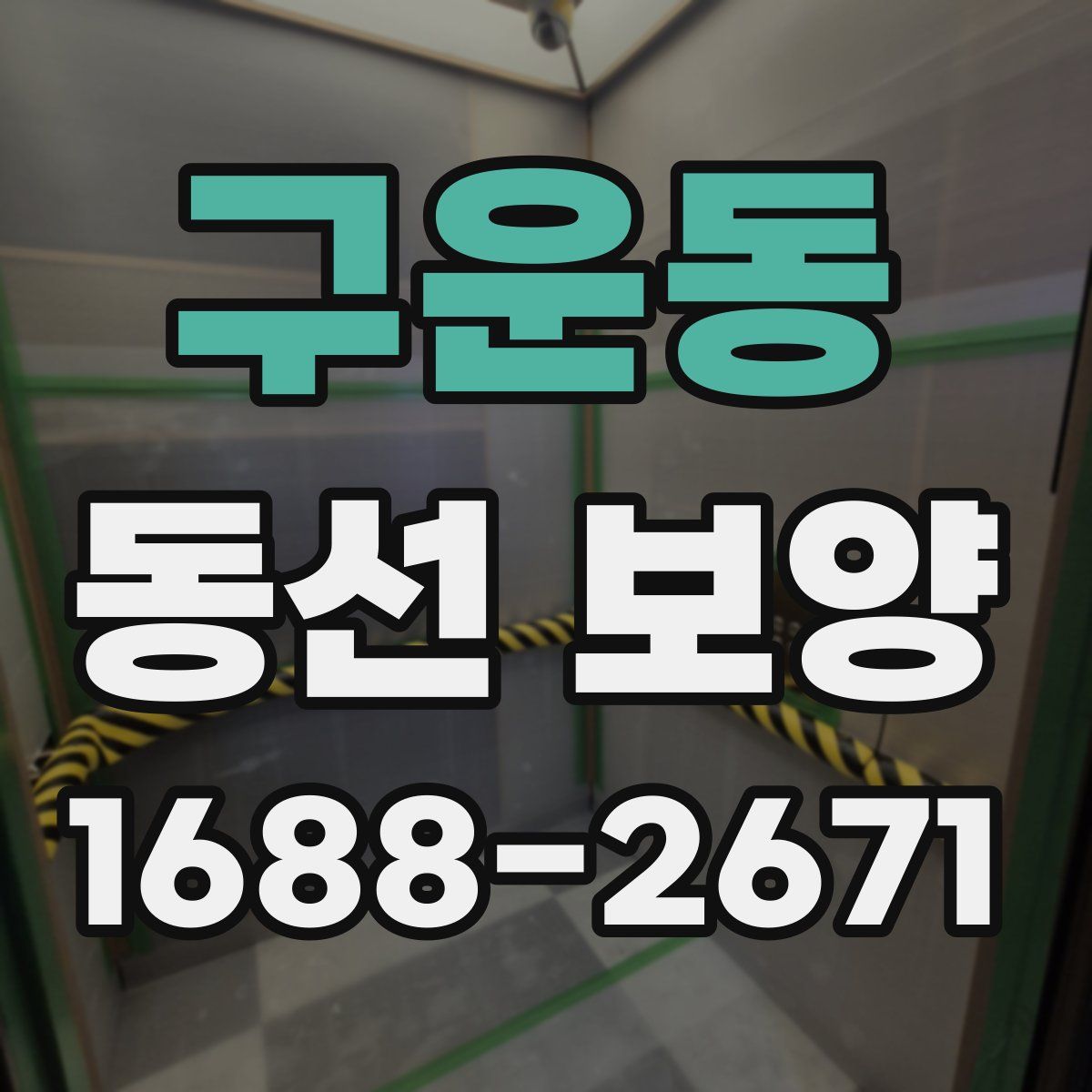 구운동 동선 보양