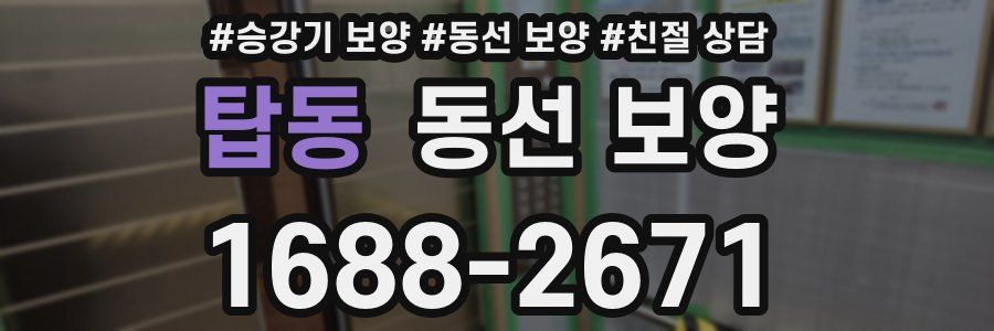 탑동 동선 보양