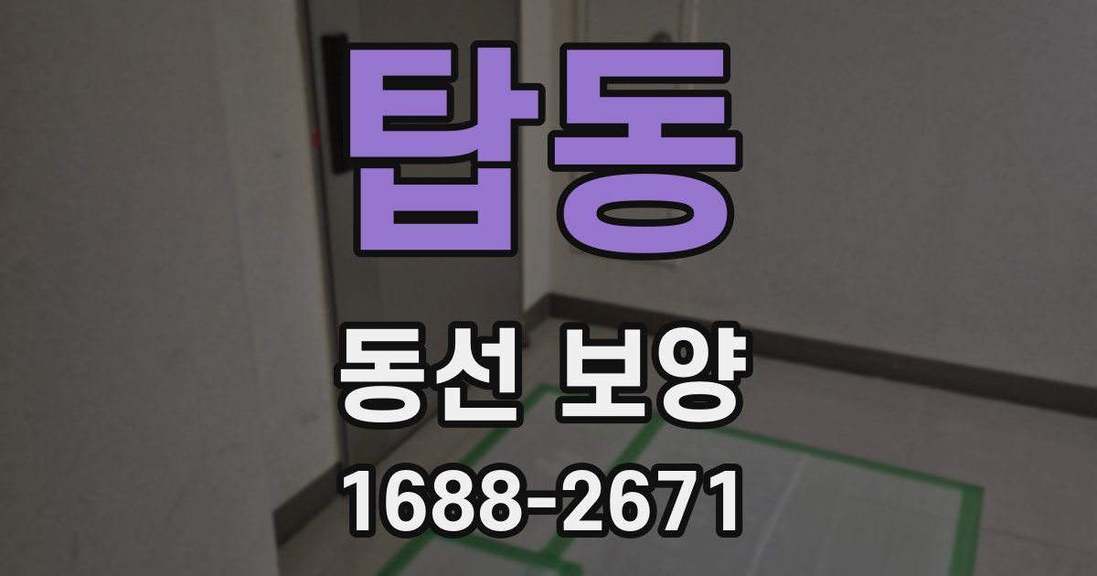 탑동 동선 보양