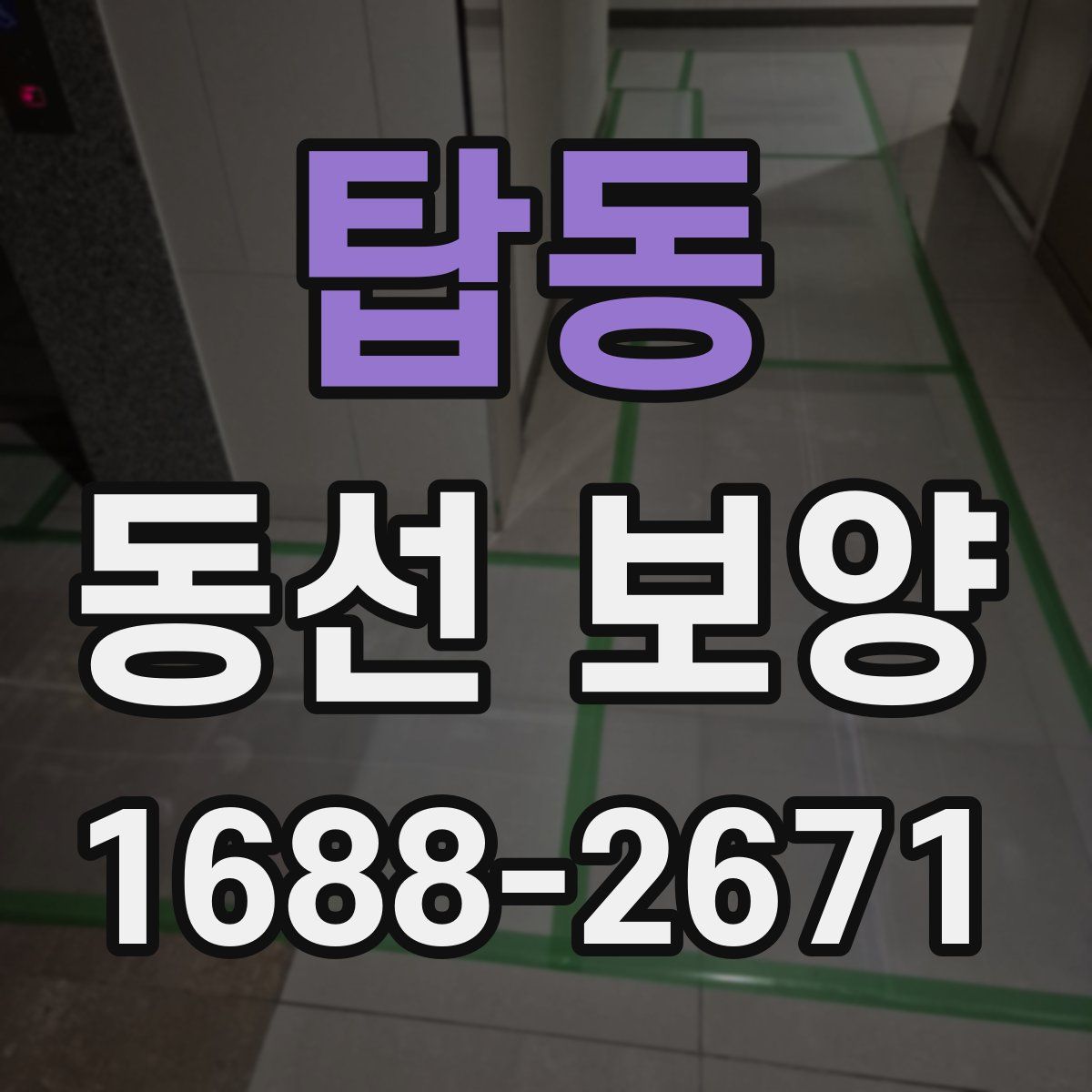 탑동 동선 보양