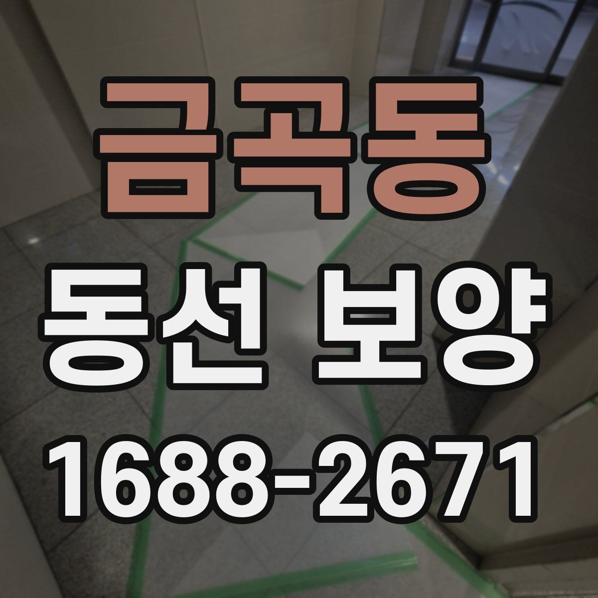금곡동 동선 보양