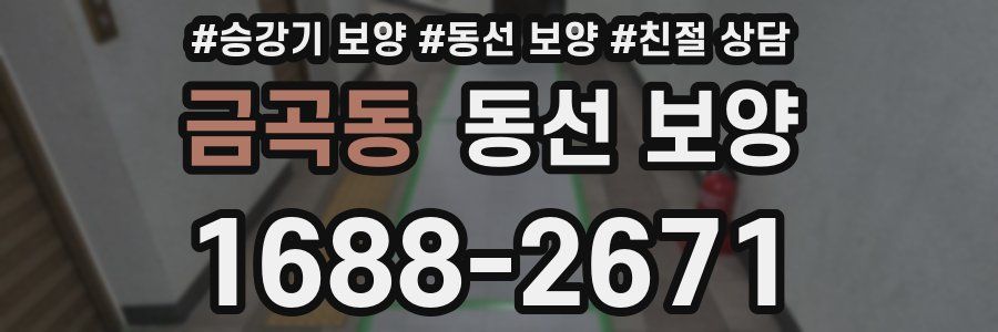 금곡동 동선 보양
