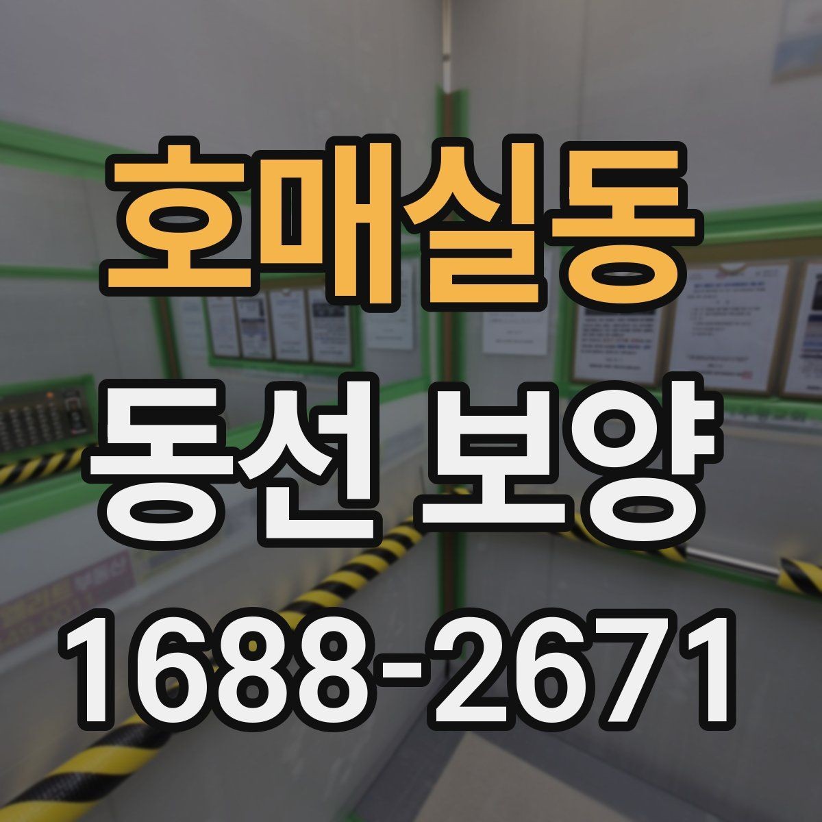 호매실동 동선 보양 비용과 범위는 어떻게 달라질까