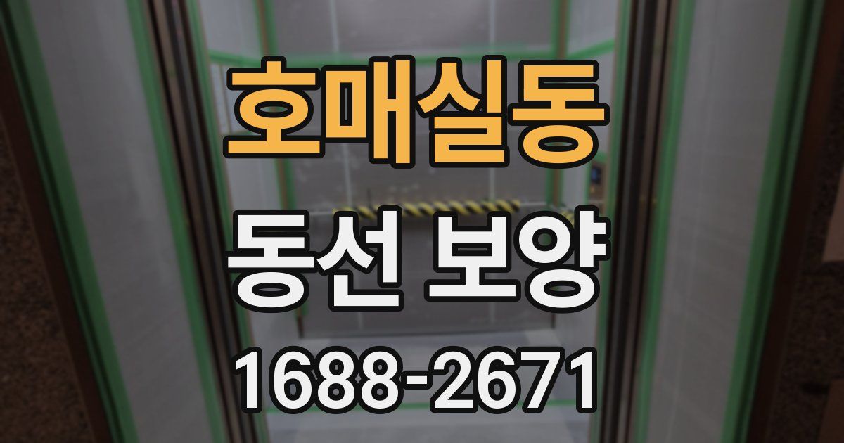 호매실동 동선 보양