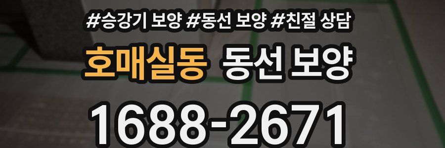 호매실동 동선 보양