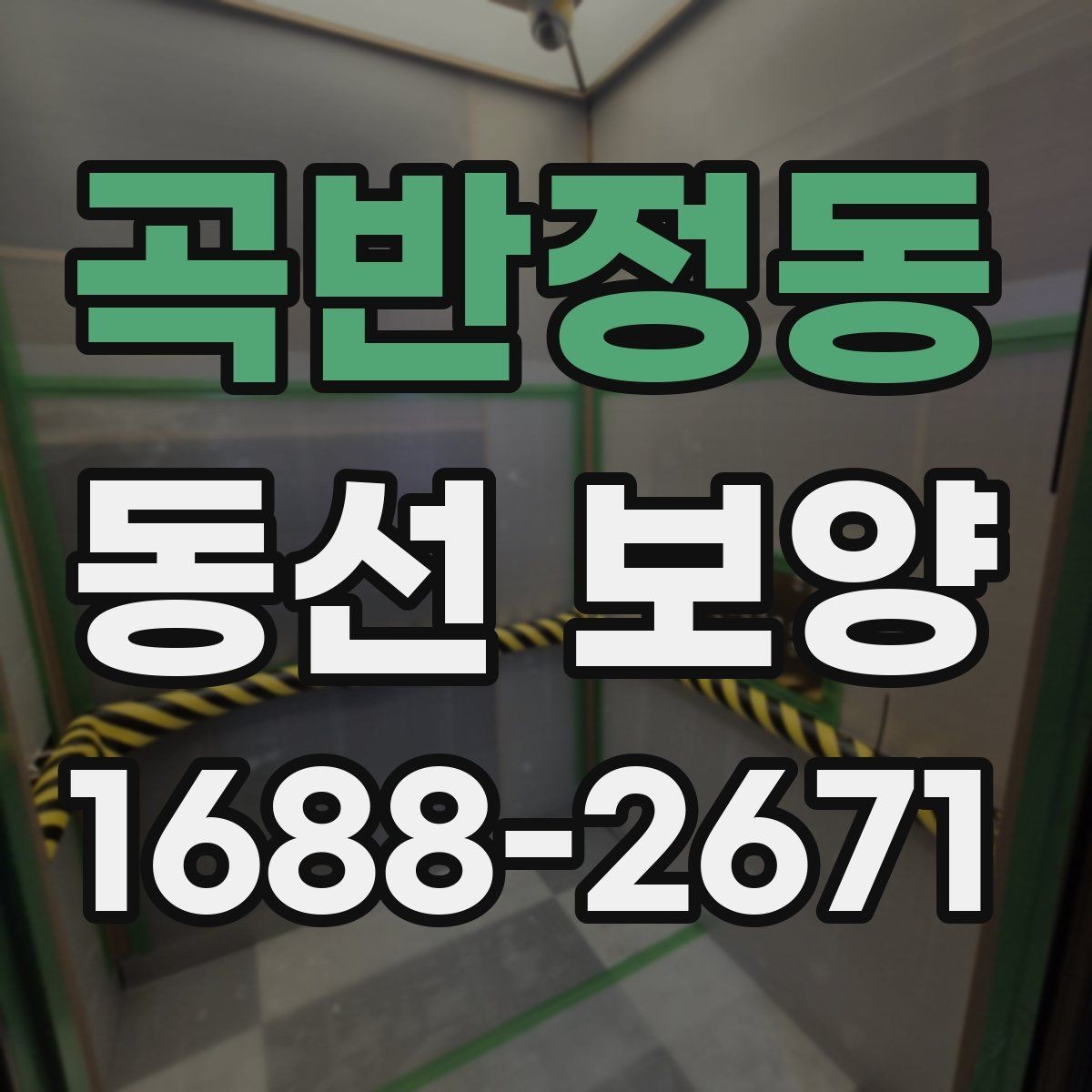 곡반정동 동선 보양 자재 선택 방법과 활용법