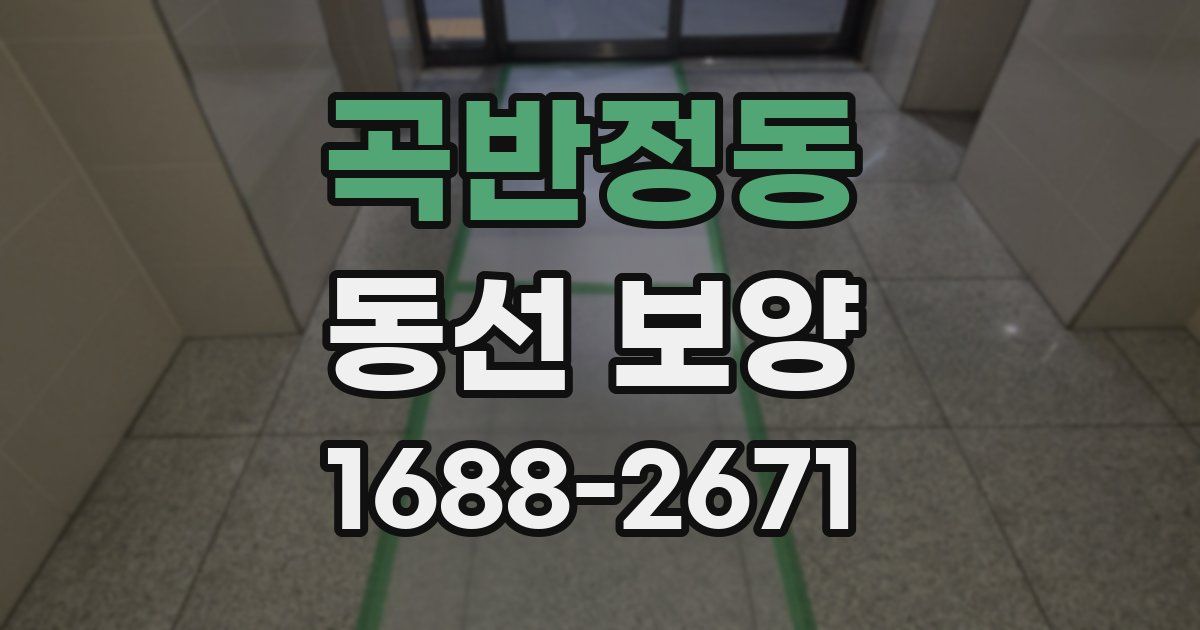 곡반정동 동선 보양