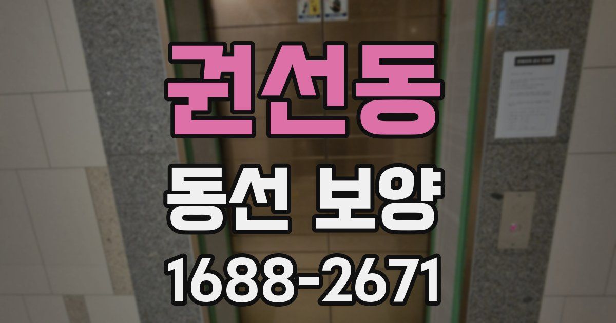 권선동 동선 보양