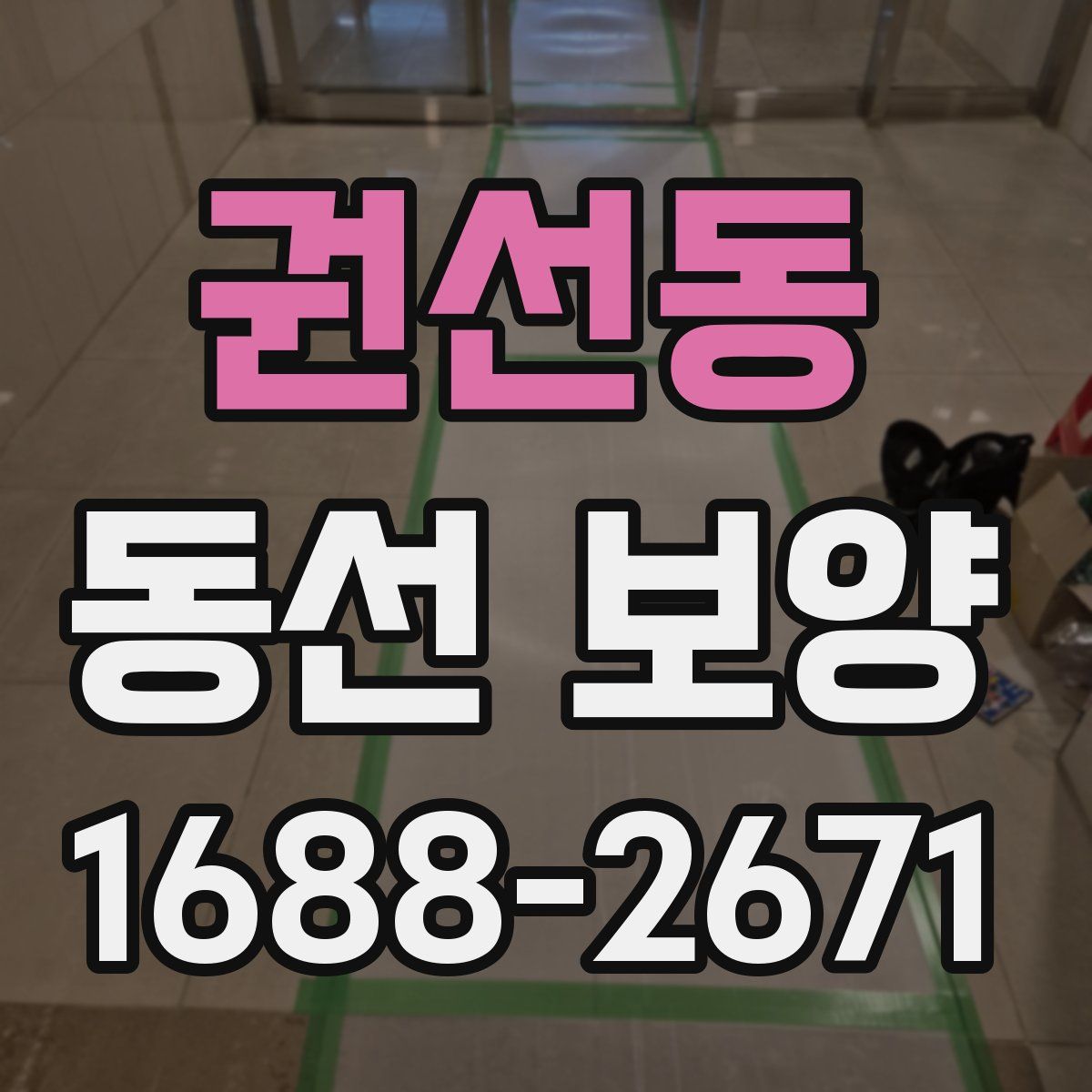 권선동 동선 보양