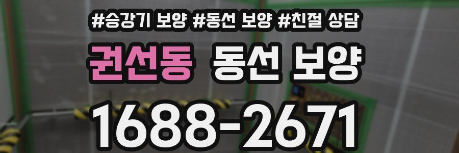 권선동 동선 보양