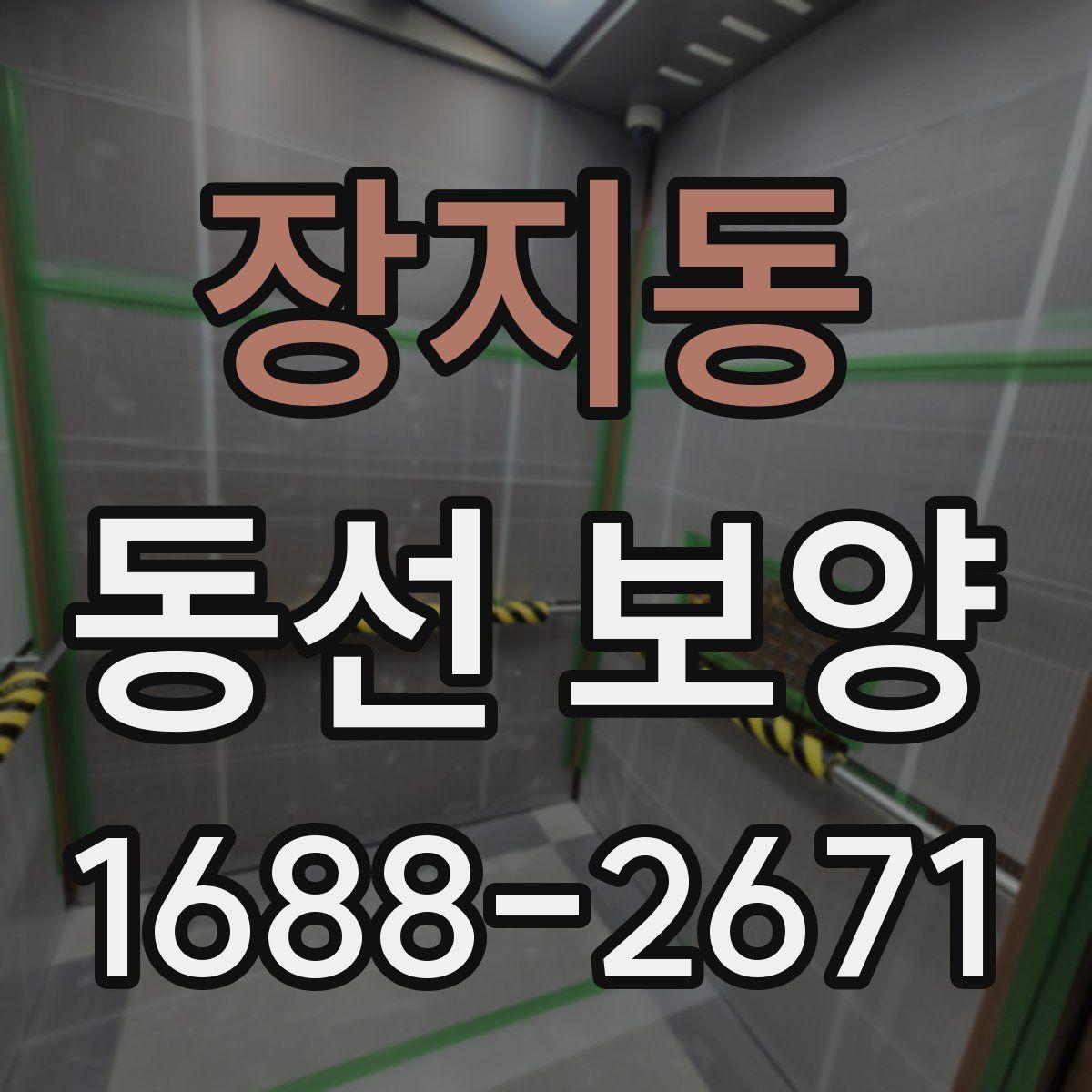 장지동 동선 보양