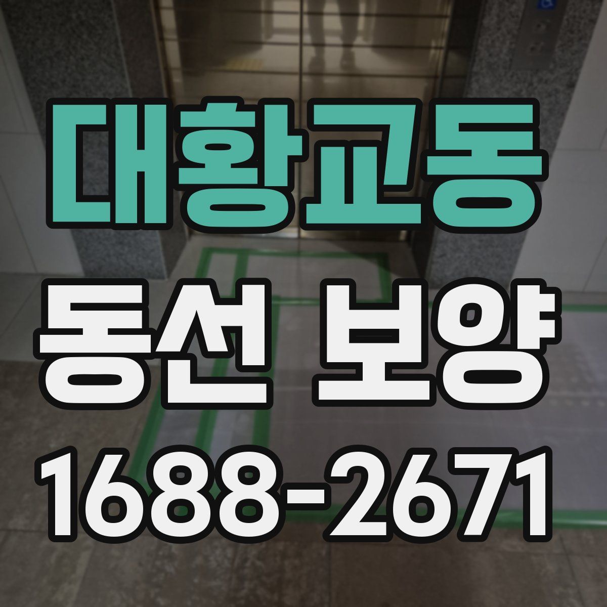 대황교동 동선 보양