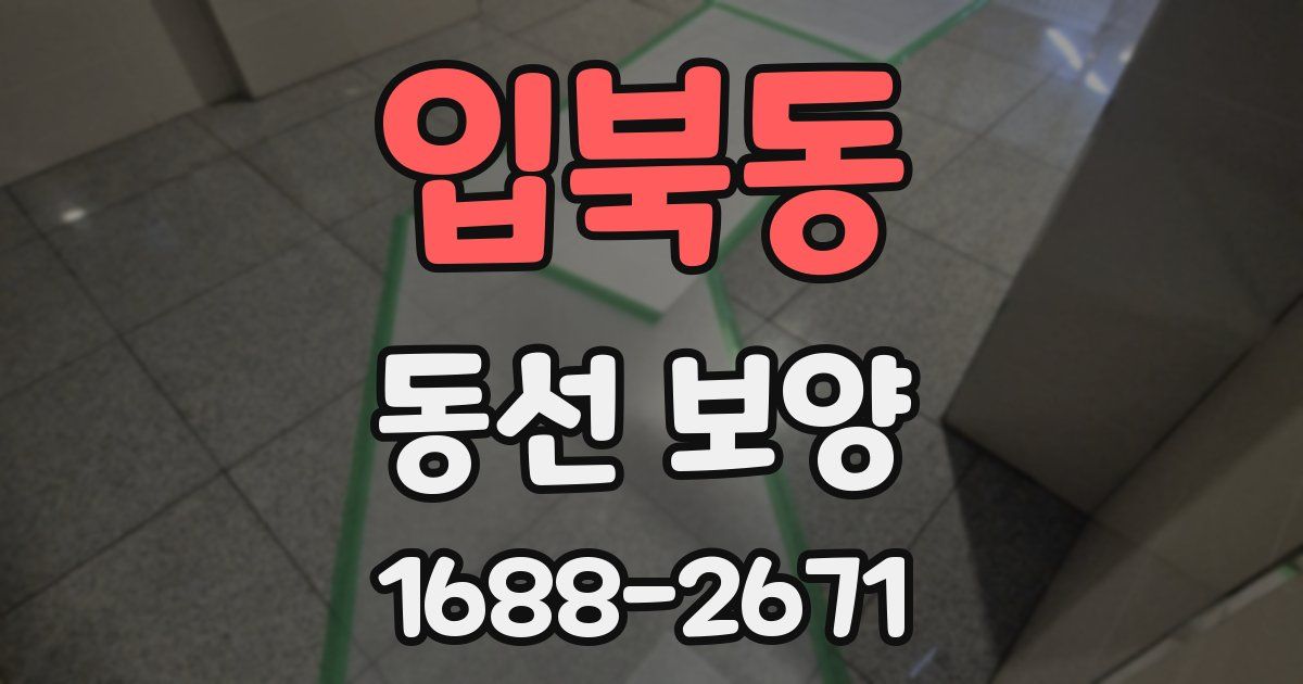 입북동 동선 보양